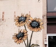 Wildflower art