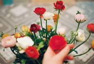 Bouquet of flowers