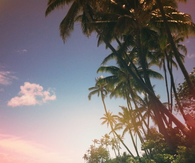Picture of paradise