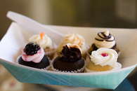Yummy Mini Cupcakes