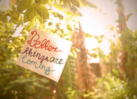 Better things are coming