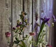 Bottles and flowers