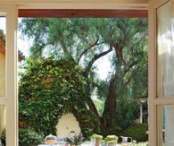 Outdoor luncheon