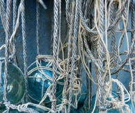 Blue glass bulbs