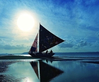 Sail away