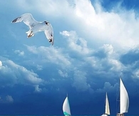 Blue horizon