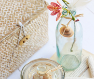 Bottled seashells