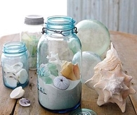 Seashell decorations