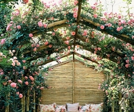 Garden oasis