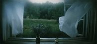 Curtains in the storm