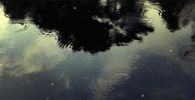 Raindrops
