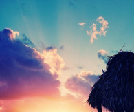 Island romance