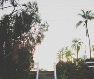 Long walk to the beach