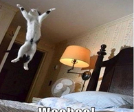 Woohoo It's Friday
