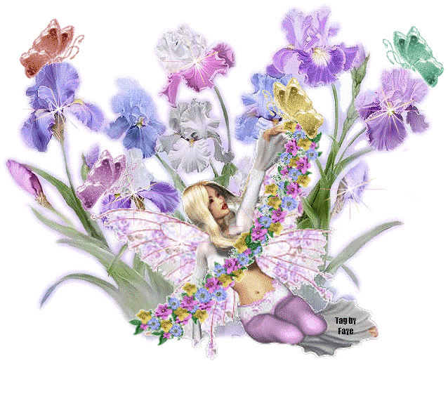 Beautiful Fairy