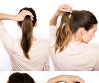 Chestnut Bun