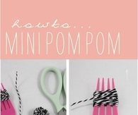 Mini Pom Pom