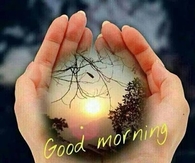 Good Morning
