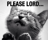 Please Lord