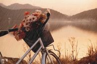 Bicycle in the rain