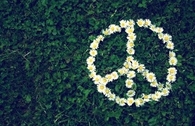 Daisy Peace Sign