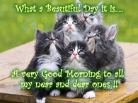 Good Morning