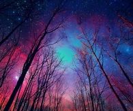 Amazing night sky