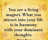 You are a living magnet