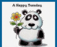 Happy Tuesday