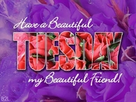 have a beautiful Tuesday