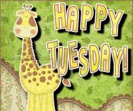 Happy tuesday