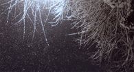 Snowfall