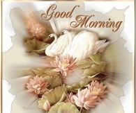 Good Morning Friends
