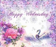 Happy Wednesday