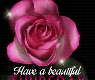 Have a beautiful Thursday