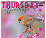 Thursday greetings