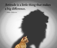 a positive attitude