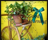 Good Morning