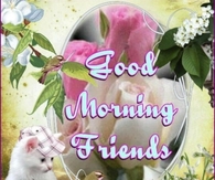 Good Morning Friends