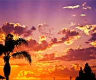 Orange Sunset