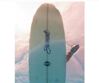 Surf Board