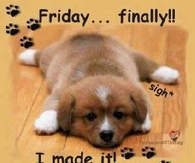 Friday Finally