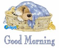 Good Morning Puppy
