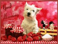 Good Morning Sweetness