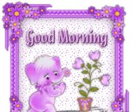 Good Morning