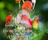 Good Morning