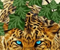The Leopard