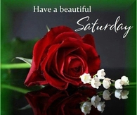Have a beautiful Saturday