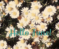 Hello June
