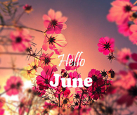 Hello June